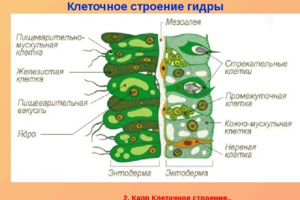 Кракен даркнет зайти