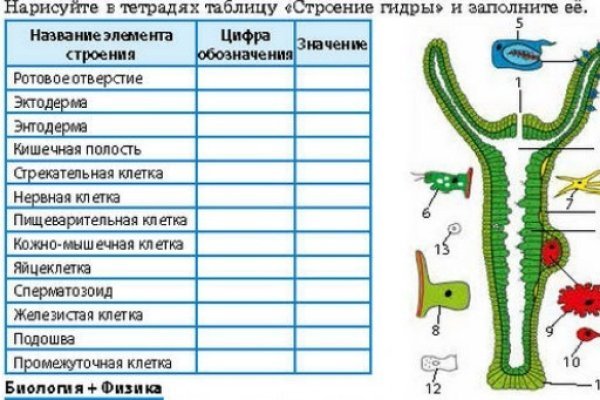 Дарк нет вход