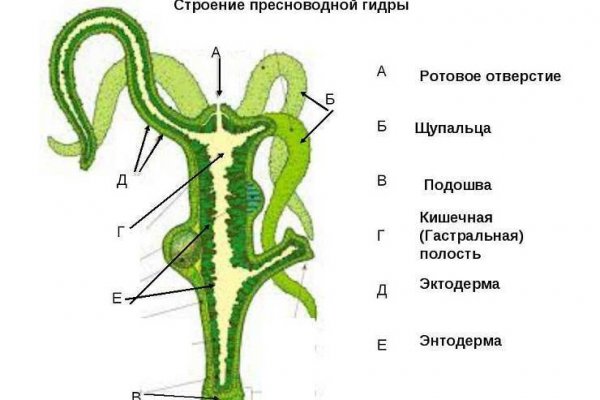 Нарко маркетплейс